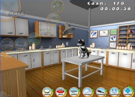 一起来养猫：虚拟宠物养成乐趣多多