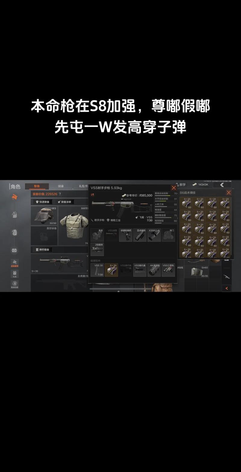 VSS使用教程：小白也能轻松上手的详细指南