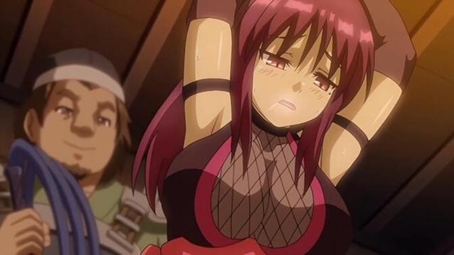 最全女忍条教版本大全：高清图鉴及游戏攻略