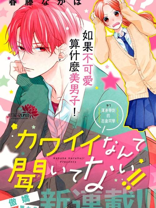 纯爱战士版本大全:小说、漫画、剧集,应有尽有!