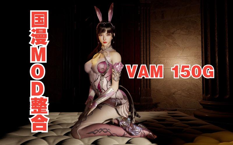 VAM整合包3款下载地址大全：哪里能找到靠谱的下载资源？