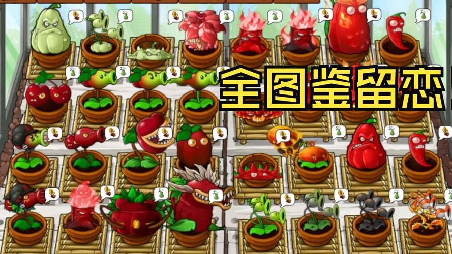 精英花园所有版本汇总：安卓、PC版下载及常见问题解答