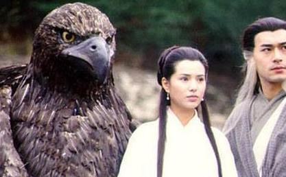 寻找蒂法与朋友们杨过游戏：资源合集及下载地址推荐