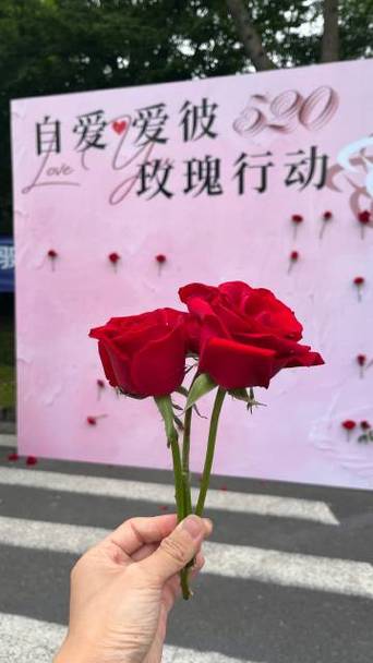 还在找玫瑰行动？各个版本资源下载地址大全！