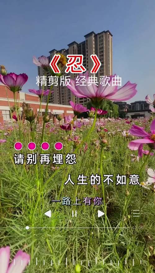 忍堕歌曲六大版本大盘点:带你体验不一样的音乐魅力!
