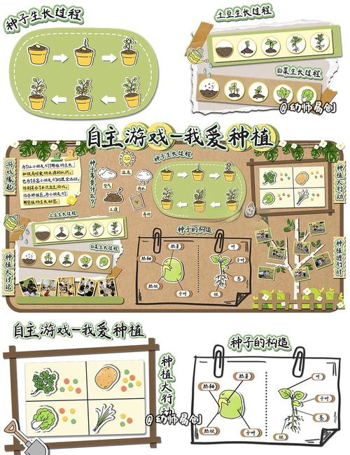 我的播种农场游戏介绍：体验轻松快乐的农场生活
