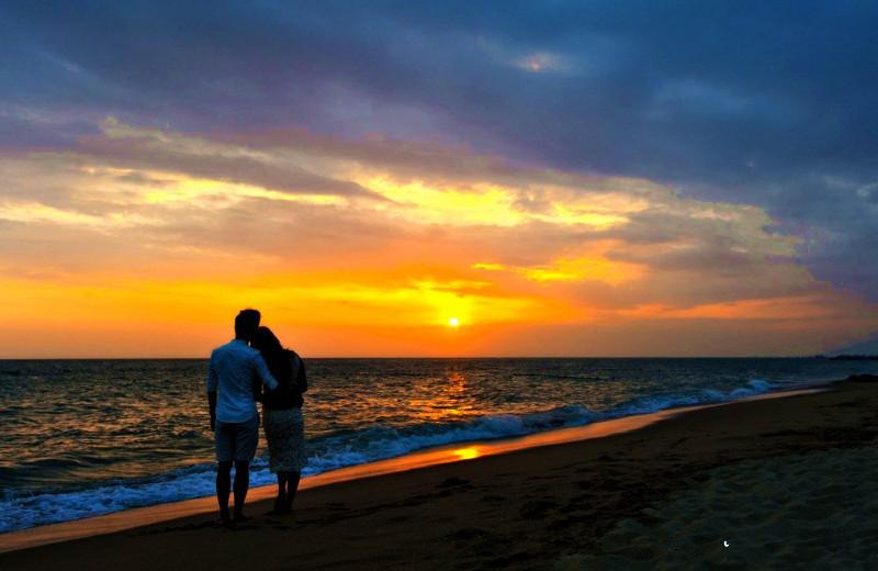 阳光湾恋人1-3合集完整版下载,火速上车!