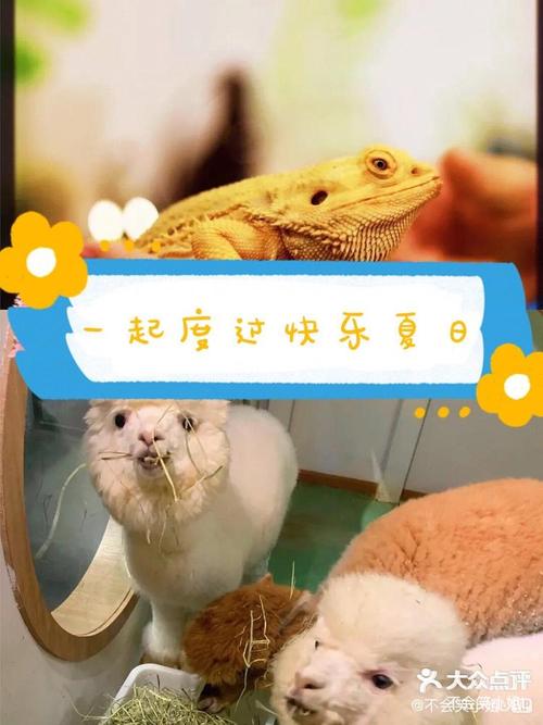 弟弟沉迷的游戏是什么？亲密接触就靠它们了！