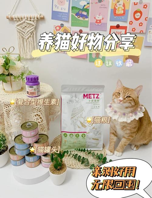 名门猫咪装扮套装怎么买?新手铲屎官看过来!