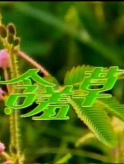 含羞草传媒免费进入方法分享，手把手教你操作！