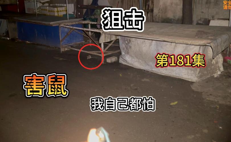 夜袭村禁忌实录:深度游戏评测,带你了解游戏玩法和剧情