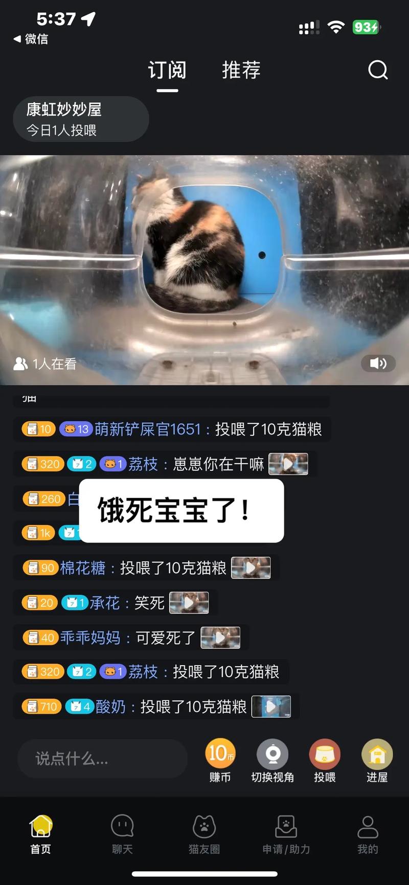小猫直播平台好不好？真实用户体验分享！