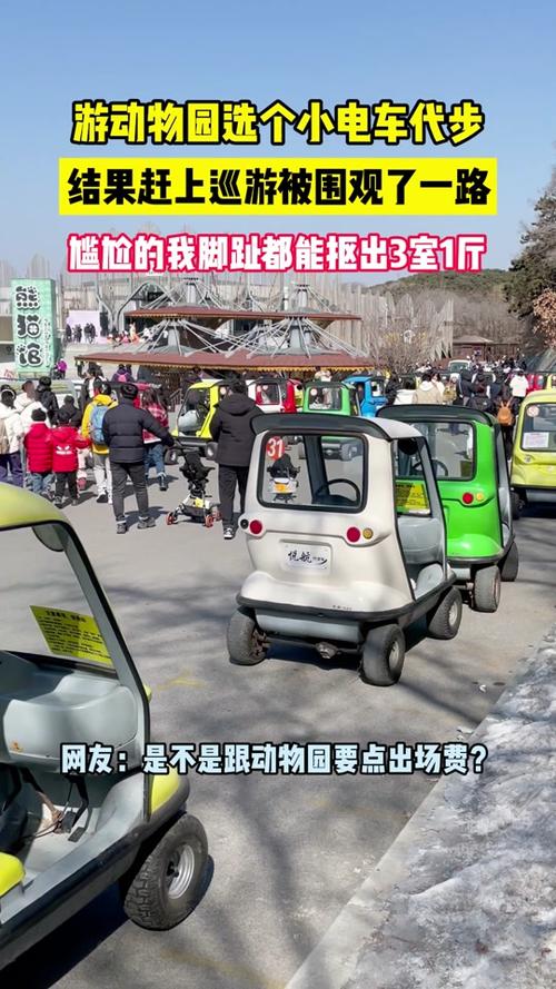 胧车是什么?新手必看胧车玩法攻略!