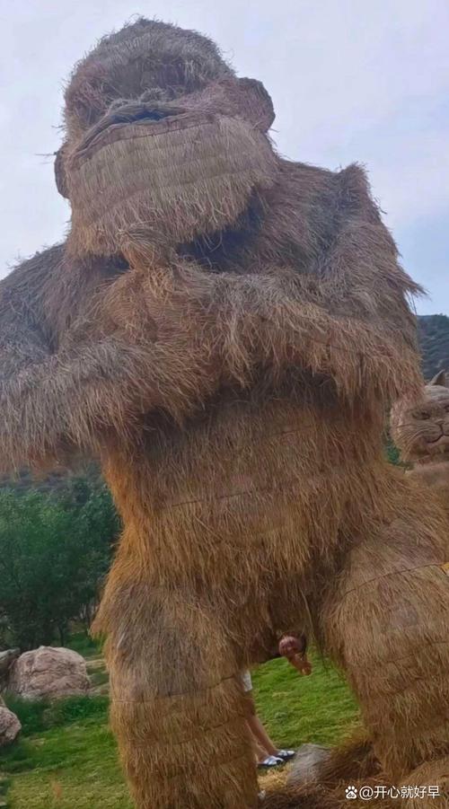 稻妻区域动物拍摄指南：四张照片怎么拍才好看？