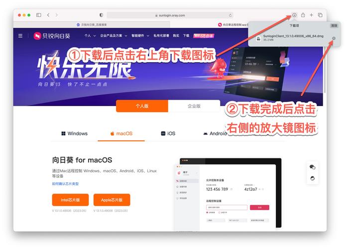 烂漫下载安装教程，简单几步轻松搞定！