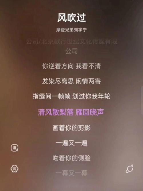 我吹过你吹过的晚风是哪首歌?这句歌词太戳心了!