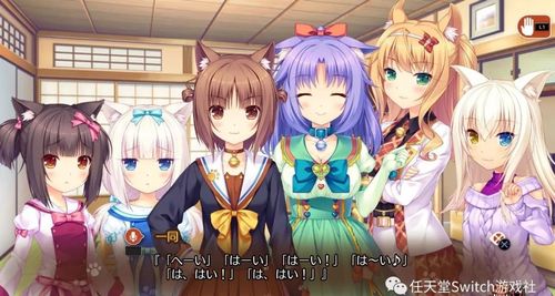 猫娘绅士游戏去哪找？这几个地方让你一次下个够！