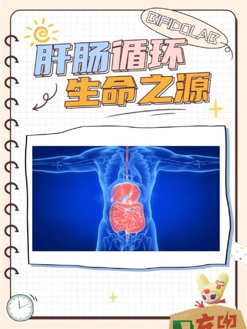 生命竞赛有哪些版本？各版本详细介绍与下载！