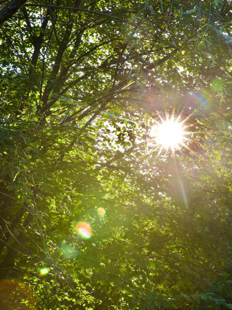 阳光下的真实版本大全：哪个版本更受欢迎？