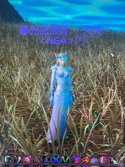 布甲幻化搭配指南：轻松打造超高回头率！