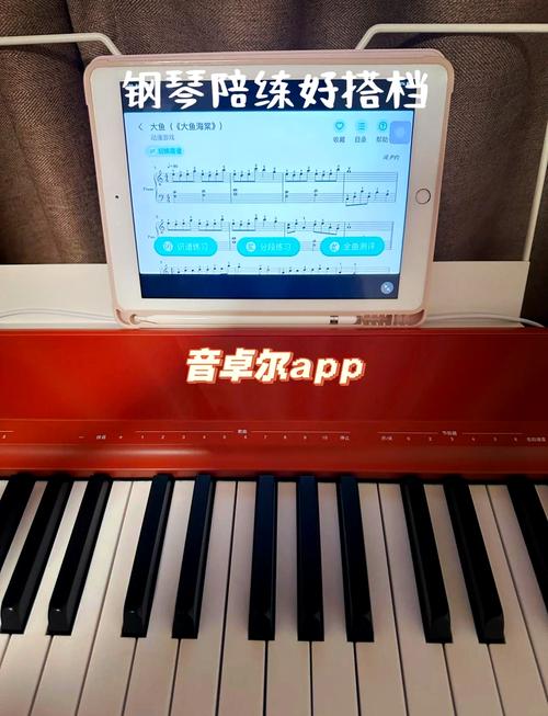 电脑钢琴游戏推荐：这几款让你在家也能学钢琴！