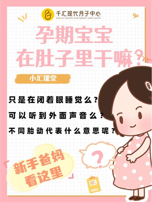 援助妊娠学院3.1下载地址在哪？最新版看这里！