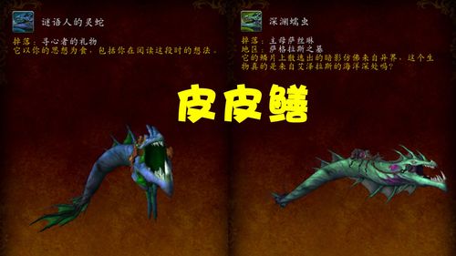 魔兽世界谜语人的灵蛇解谜流程,按这几步走准没错!