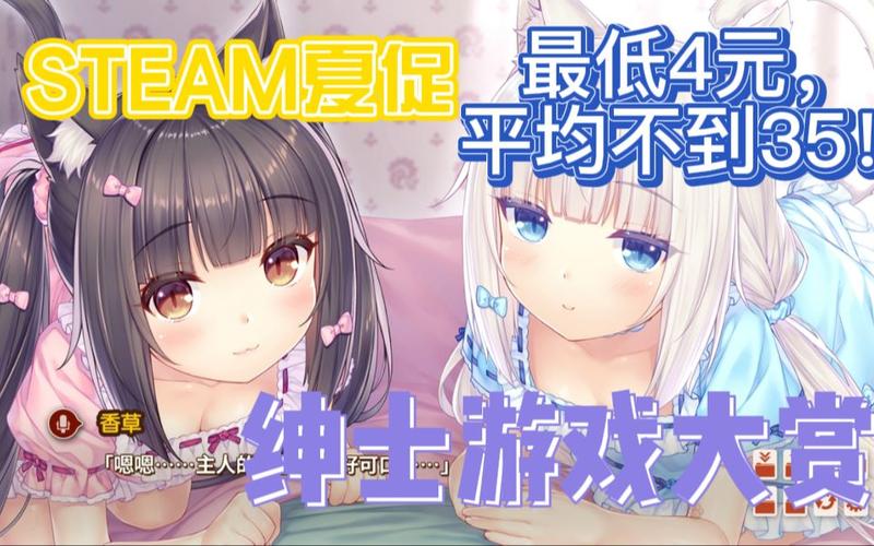 代理机构绅士游戏下载指南,最新资源分享!