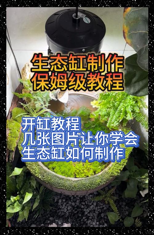 迷你水族馆造景教程，手把手教你布置漂亮鱼缸！