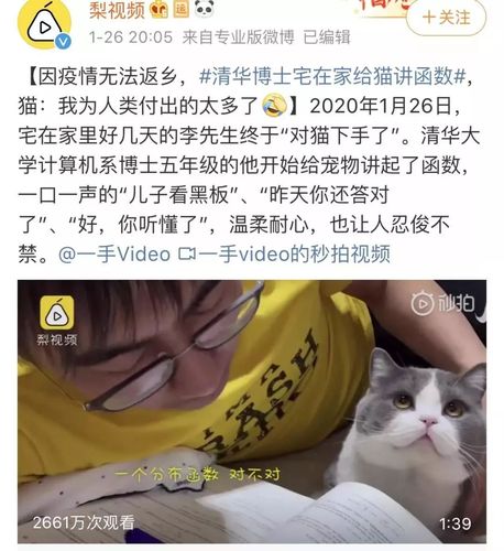 相亲攻略之宝贝别再选我了版本大全，单身狗必看脱单秘籍！
