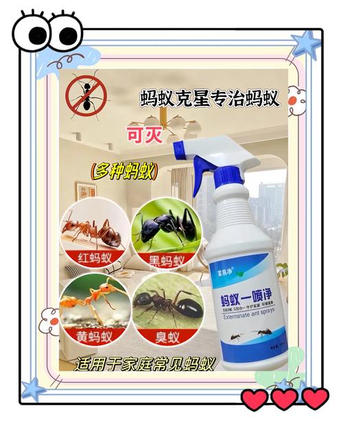 常吃苏打饼干蚂蚁怎么办?教你几招轻松解决!