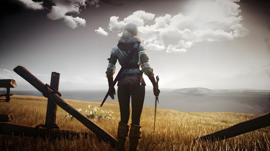 想玩巫师3狂猎魔改绅士游戏？这些细节要注意！