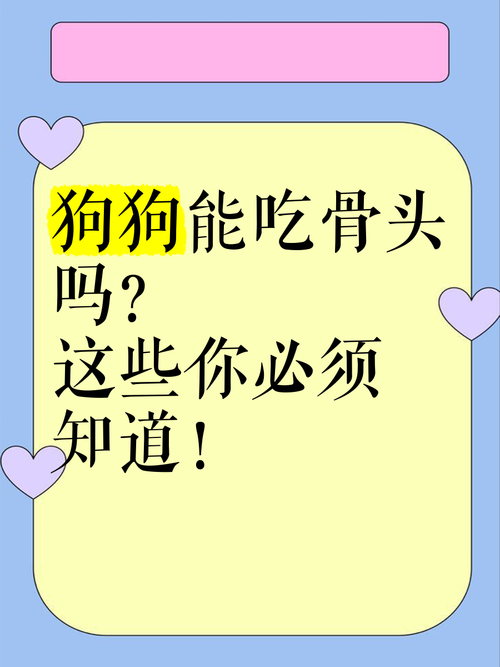 想玩转狗和骨头?这些技巧你必须知道!