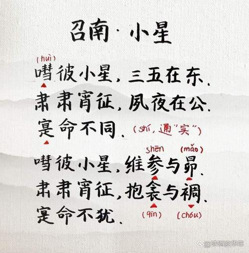 “肃肃宵征夙夜在公”出自哪里?详细解读诗句含义