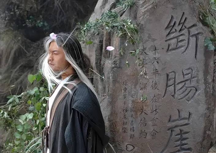 沉浸式体验！异世界冒险杨过游戏深度评测