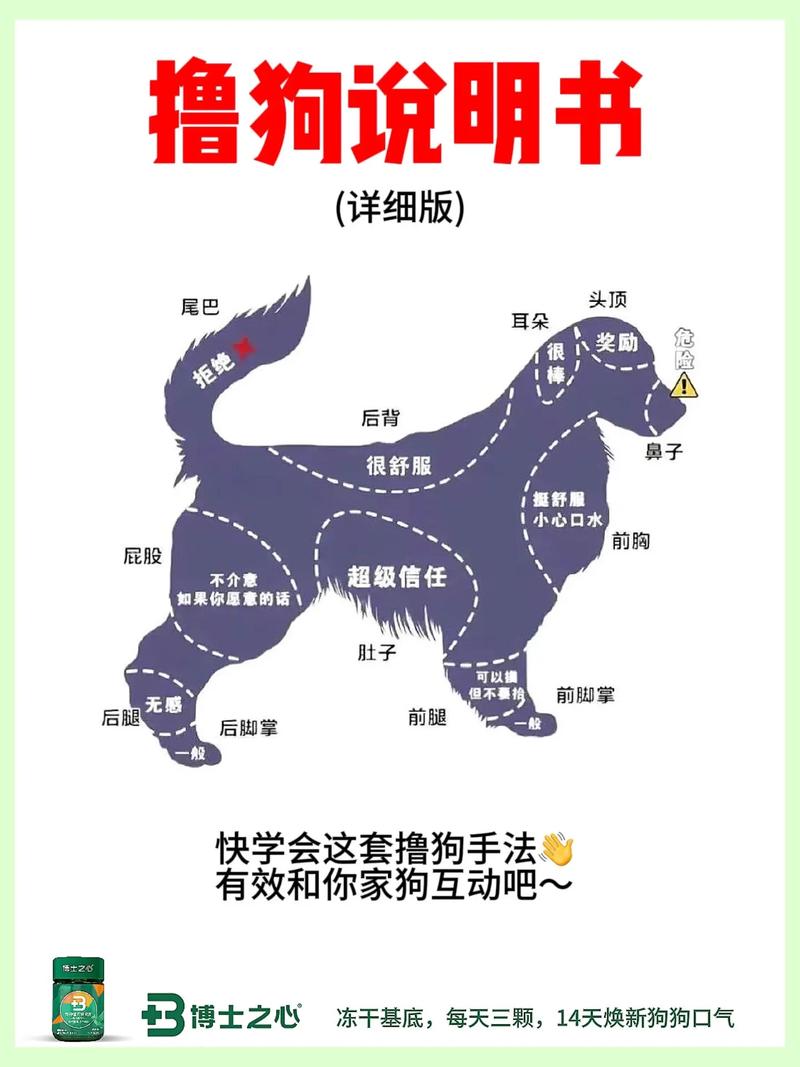 如何玩转狗和骨头游戏？新手通关技巧大公开！