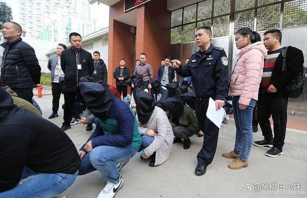 寻找女士官洗脑更新地址：真相与争议解读