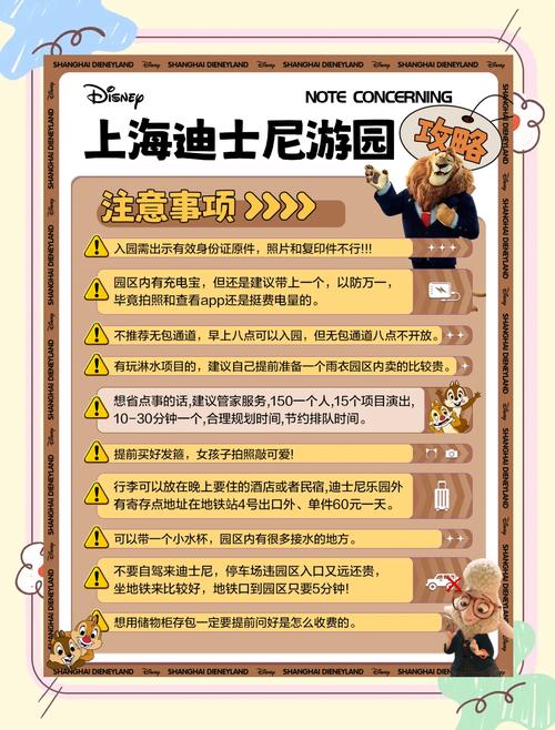 斯宾尼城堡游戏攻略大全：通关秘籍与隐藏要素