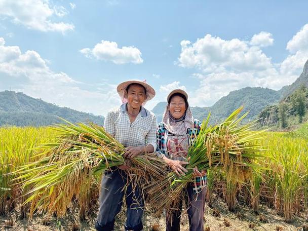 黔农云：贵州农民的智慧农业好帮手