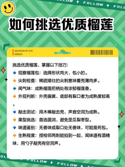 榴莲app官方下载最新版：体验更多精彩功能