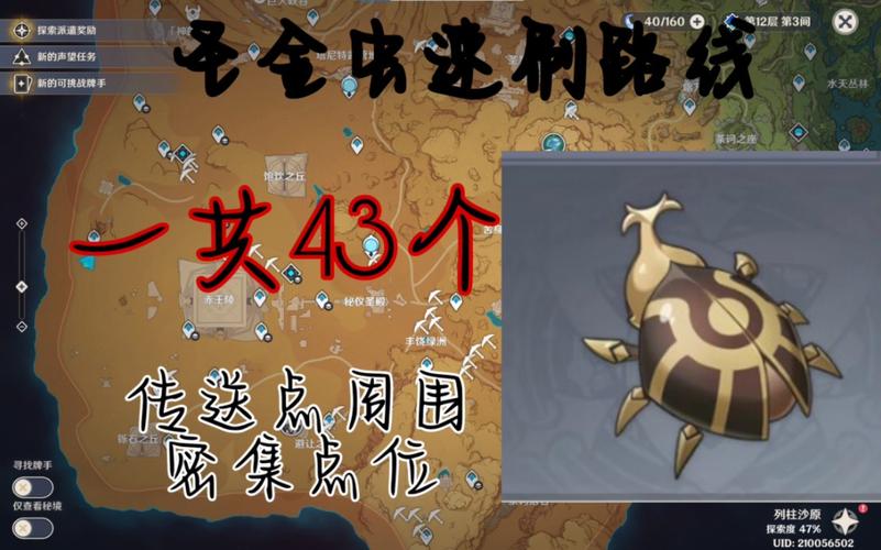 圣金甲虫游戏攻略：快速收集秘籍大公开