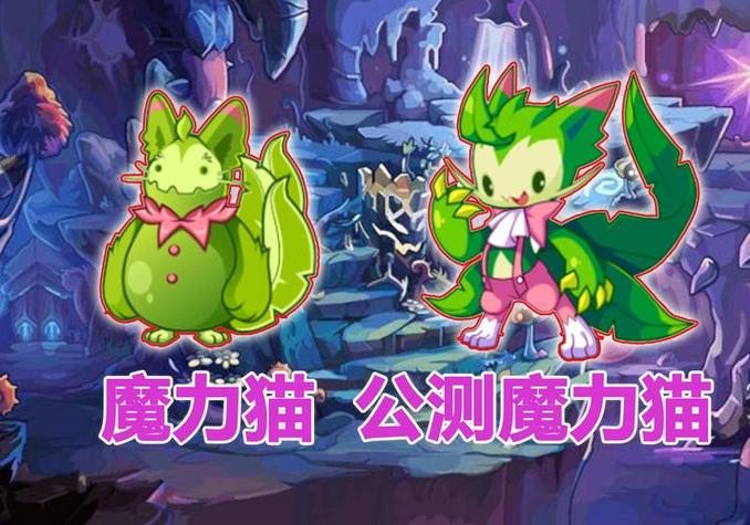 洛克王国魔力猫练级秘籍：轻松升级到100级