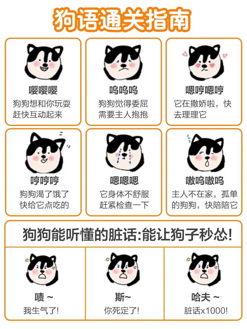 如何玩转狗和骨头游戏？新手通关技巧大公开！