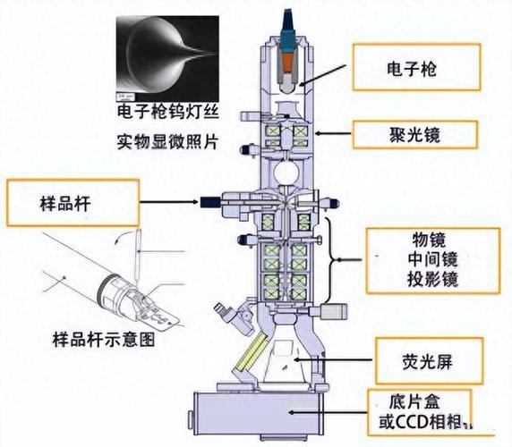 最新TEM研究进展:透射电子显微镜的未来发展方向