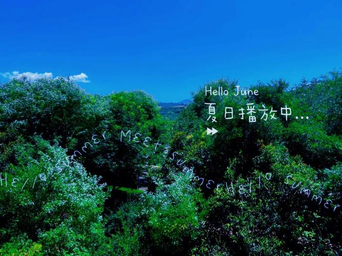 夏日炎炎版本大全:游戏、歌曲、小说应有尽有