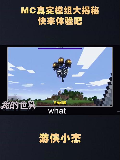 你玩过我的世界现实版吗？超逼真模拟现实生活