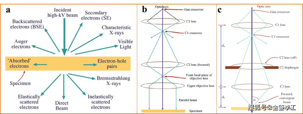 最新TEM研究进展:透射电子显微镜的未来发展方向