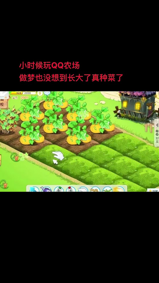 玩QQ农场没金币?教你几招快速刷金币的技巧