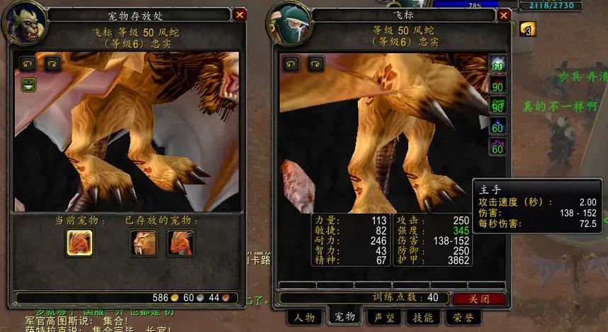 魔兽世界猎人：不同阶段最佳宝宝搭配建议