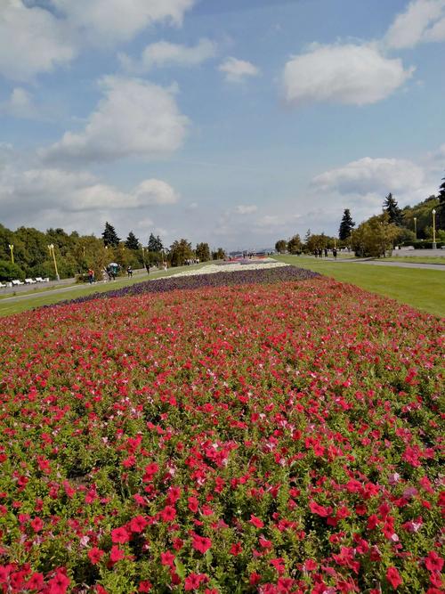 想下载优艳之花？注意这些下载地址的安全性问题